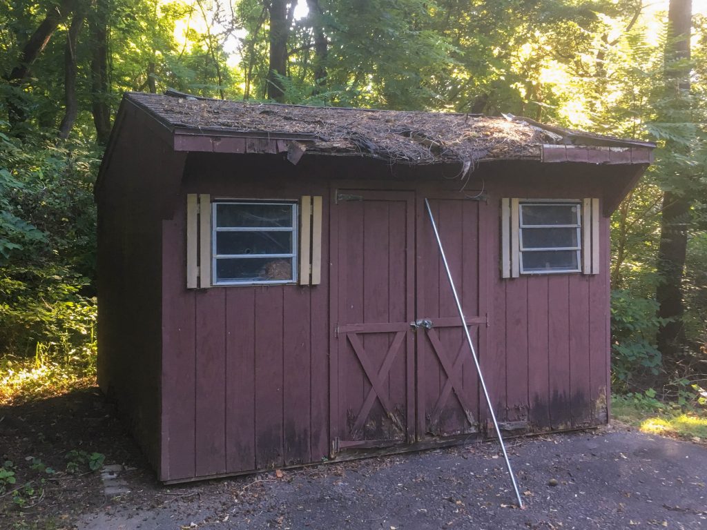 Completed Shed Repair